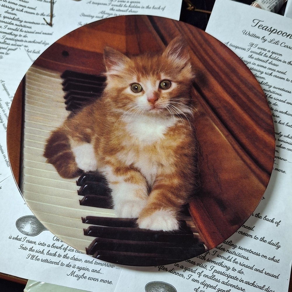 Adorable Cat Plate Round Wall Art